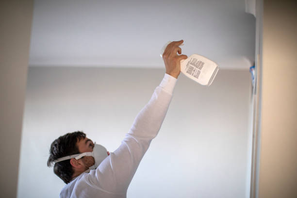 Best Crawl Space Mold Removal  in Cedar Ridge, CA