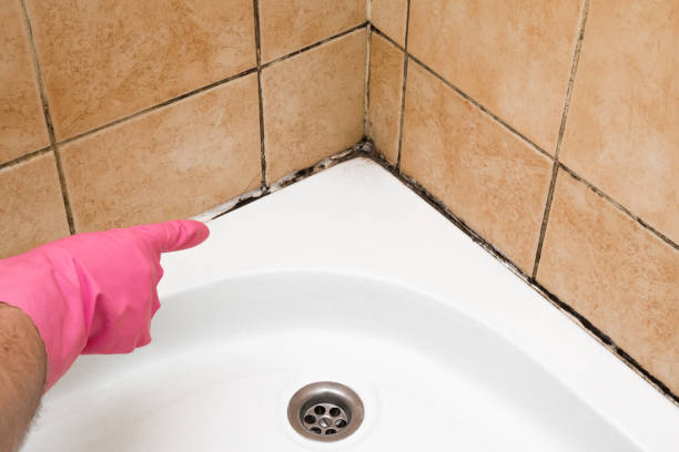 Best Residential Mold Removal  in Cedar Ridge, CA